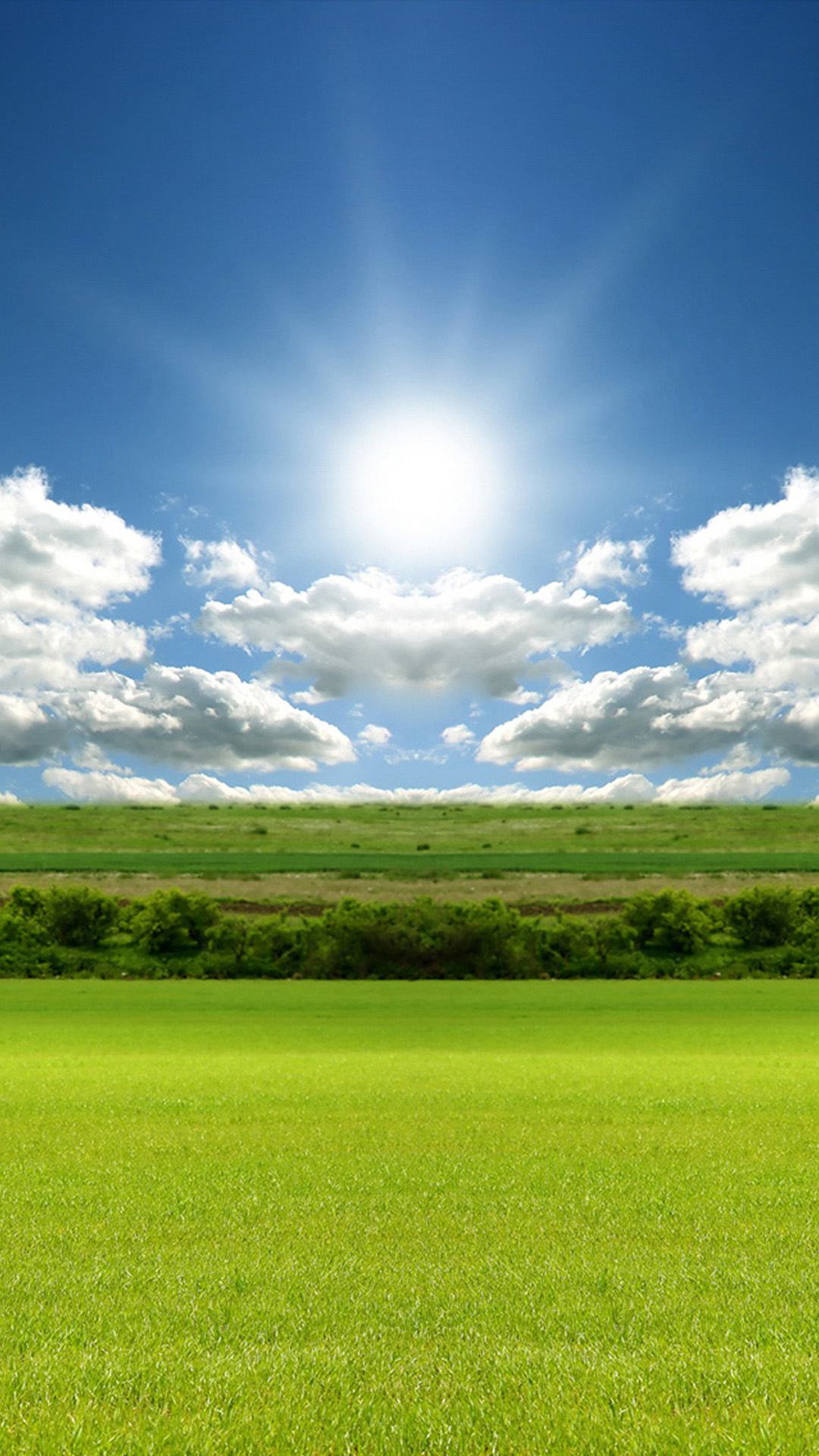 Grass Sun and Sky - HD Wallpapers and